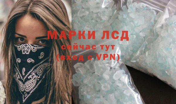мяу мяу мука Бородино