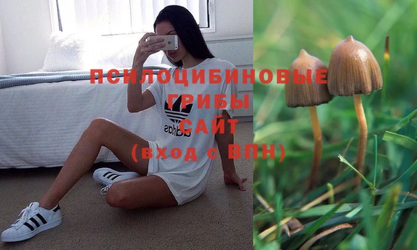 мяу мяу мука Бородино