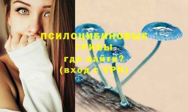 мяу мяу мука Бородино